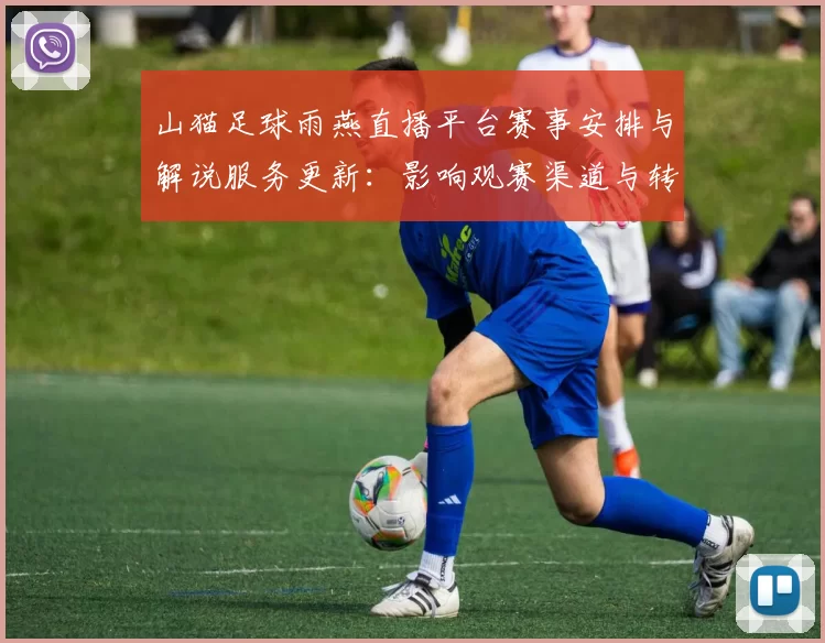 山猫足球雨燕直播平台赛事安排与解说服务更新：影响观赛渠道与转播体验