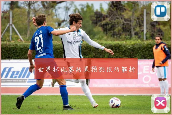 世界杯比赛结果预测技巧解析