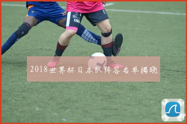 2018世界杯日本队阵容名单揭晓