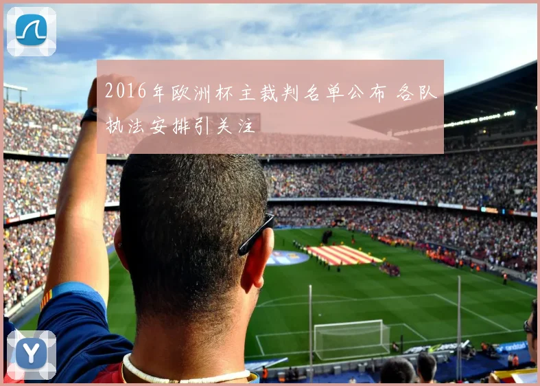 2016年欧洲杯主裁判名单公布 各队执法安排引关注